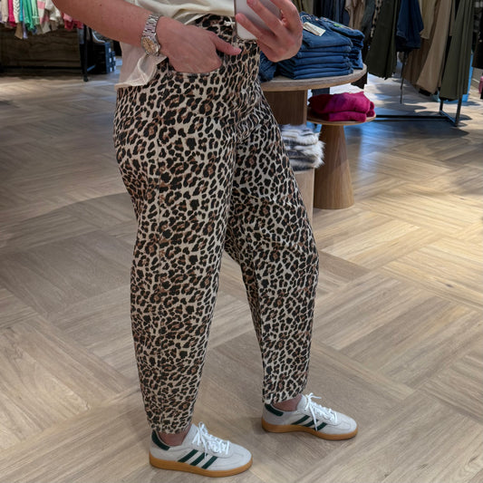 Zhrill Broek Iza Luipaard - Peet kleding