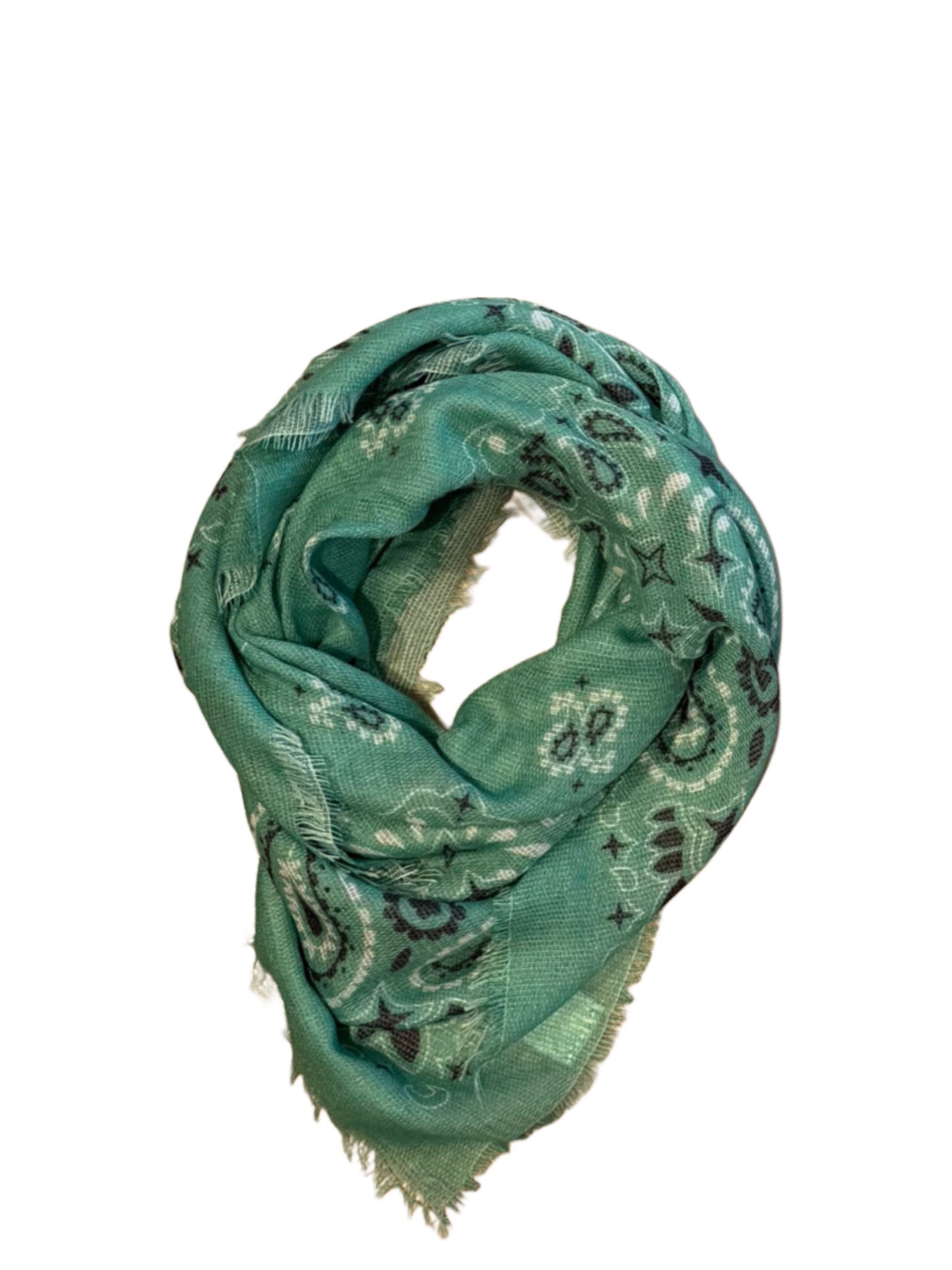 Sjaal Fee Paisley Emerald - Peet kleding