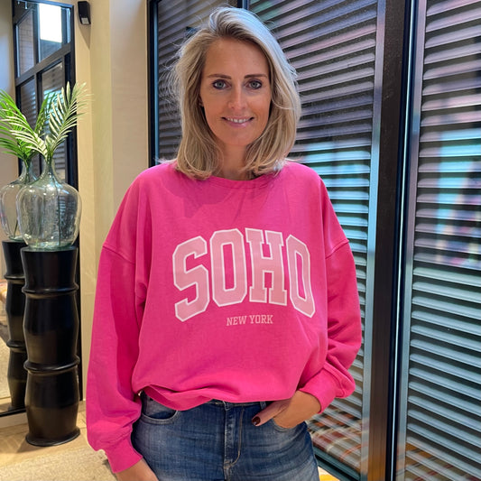 Azzurro Sweater Soho Roze - Peet kleding