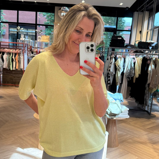 Triple Nine V-Hals Lurex Geel - Peet kleding
