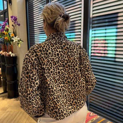 Zhrill Jack Louie Luipaard - Peet kleding
